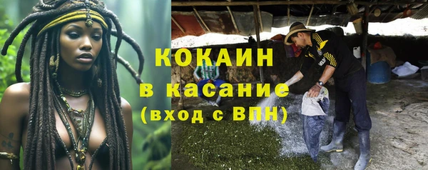 винт Абаза