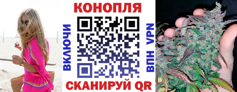 Каннабис семена  блэк спрут как зайти  Новокузнецк  закладка 